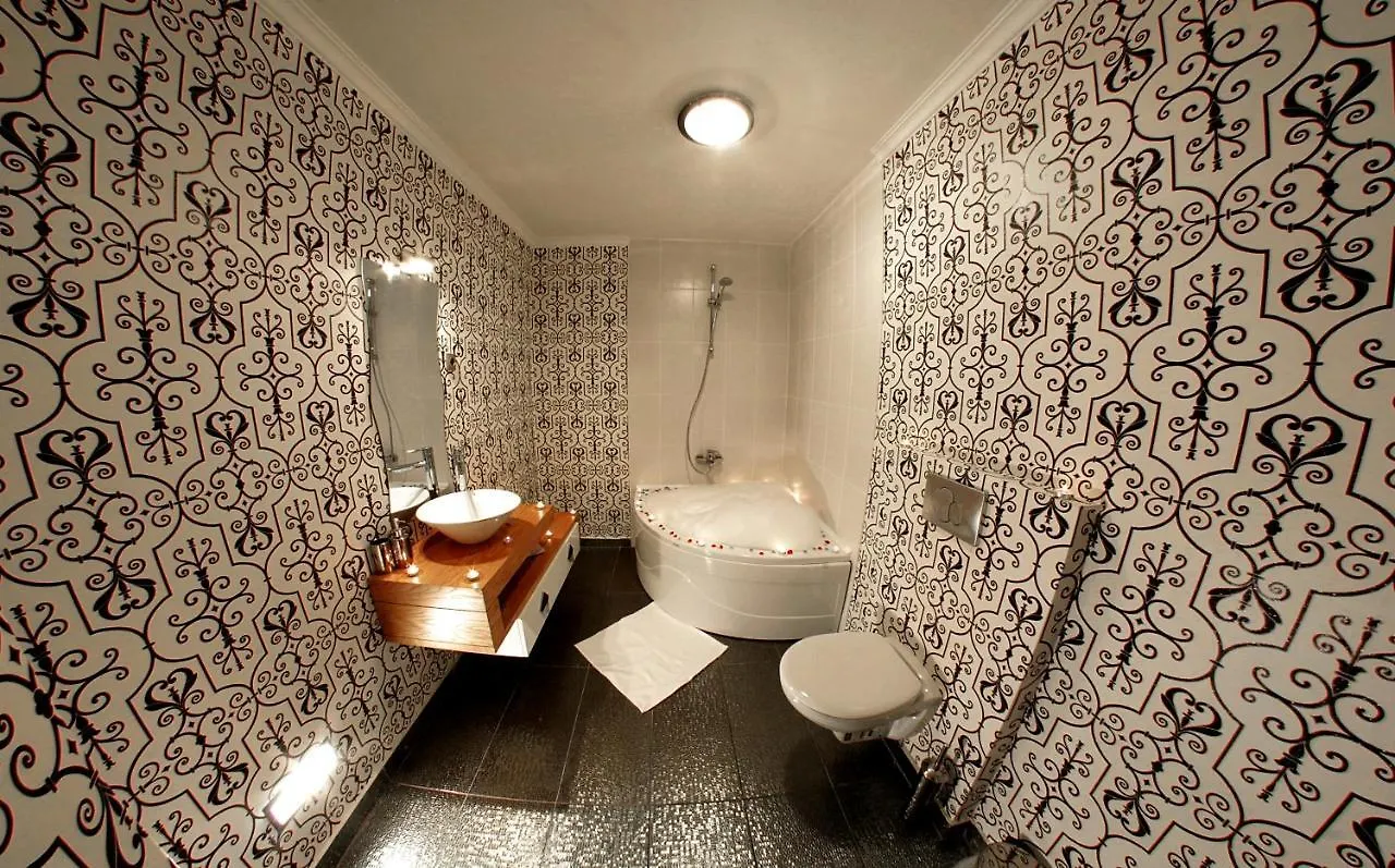 Boreas Hotel, Trademark Collection By Wyndham Ankara 4*,  Türkiye
